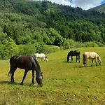 Nesvika Nature Reserve Only 20 Min Away From Apartment *