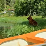 Nesvika Nature Reserve Only 20 Min Away From Apartment Bergen
