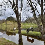 Apartment Nesvika Nature Reserve Only 20 Min Away From