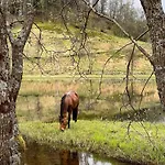 Apartment Nesvika Nature Reserve Only 20 Min Away From *