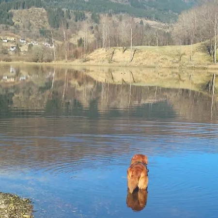 Nesvika Nature Reserve Only 20 Min Away From Appartement