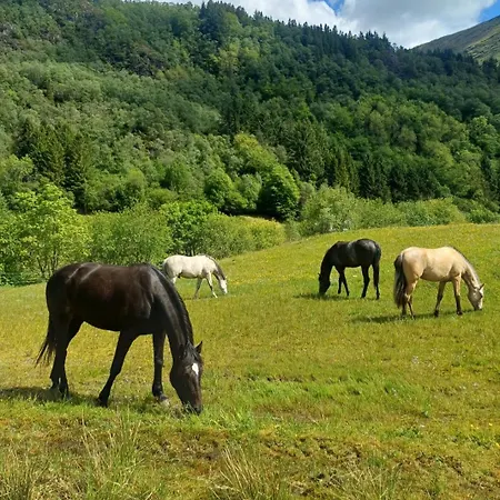 Nesvika Nature Reserve Only 20 Min Away From Appartement *