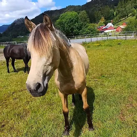Nesvika Nature Reserve Only 20 Min Away From Appartement Bergen
