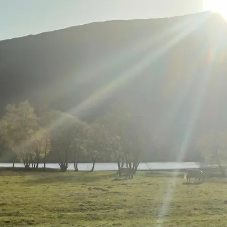 Nesvika Nature Reserve Only 20 Min Away From Appartement