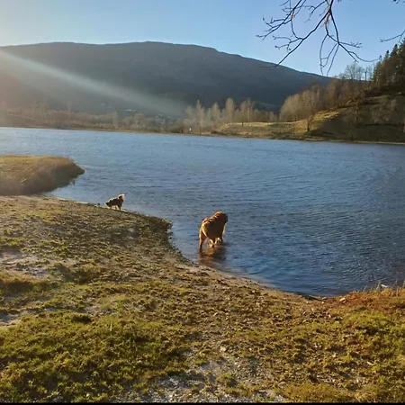 Nesvika Nature Reserve Only 20 Min Away From Appartement *