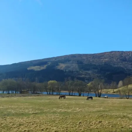 Apartment Nesvika Nature Reserve Only 20 Min Away From