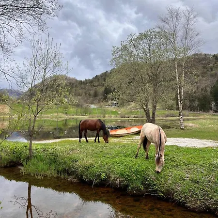 Nesvika Nature Reserve Only 20 Min Away From Bergen