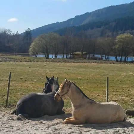 Nesvika Nature Reserve Only 20 Min Away From *