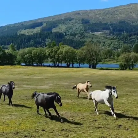 Nesvika Nature Reserve Only 20 Min Away From