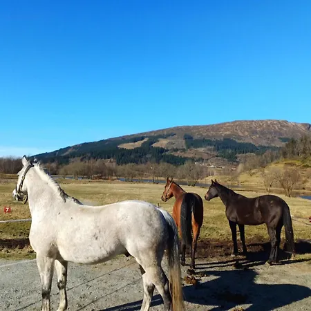 Leilighet Nesvika Nature Reserve Only 20 Min Away From *
