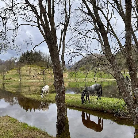 Leilighet Nesvika Nature Reserve Only 20 Min Away From