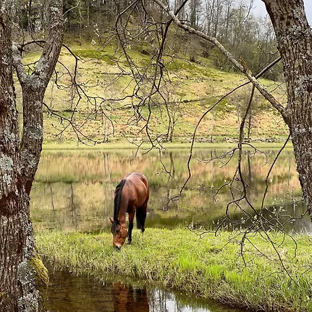 Apartment Nesvika Nature Reserve Only 20 Min Away From *