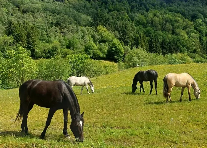 Nesvika Nature Reserve Only 20 Min Away From Lägenhet *