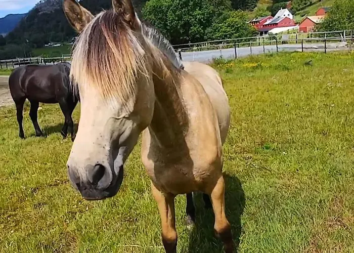 Nesvika Nature Reserve Only 20 Min Away From Lägenhet Bergen