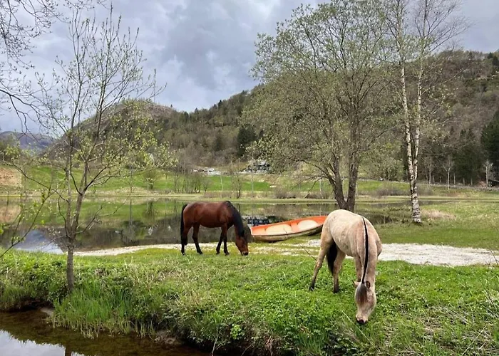 Nesvika Nature Reserve Only 20 Min Away From 卑爾根