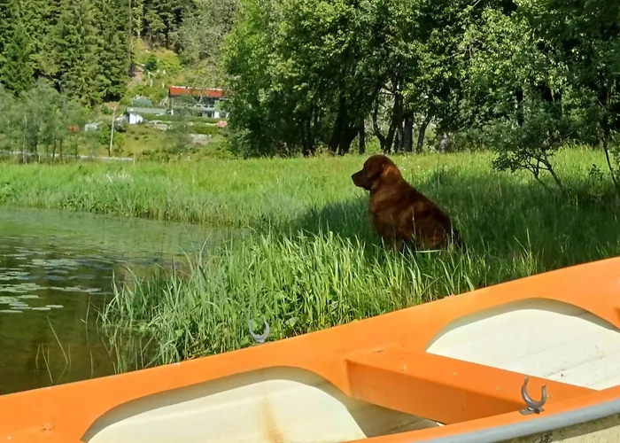 Nesvika Nature Reserve Only 20 Min Away From Διαμέρισμα Μπέργκεν