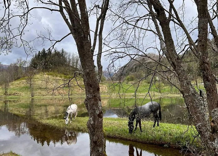 公寓 Nesvika Nature Reserve Only 20 Min Away From