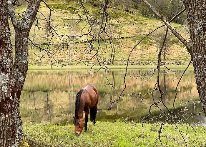 Διαμέρισμα Nesvika Nature Reserve Only 20 Min Away From *
