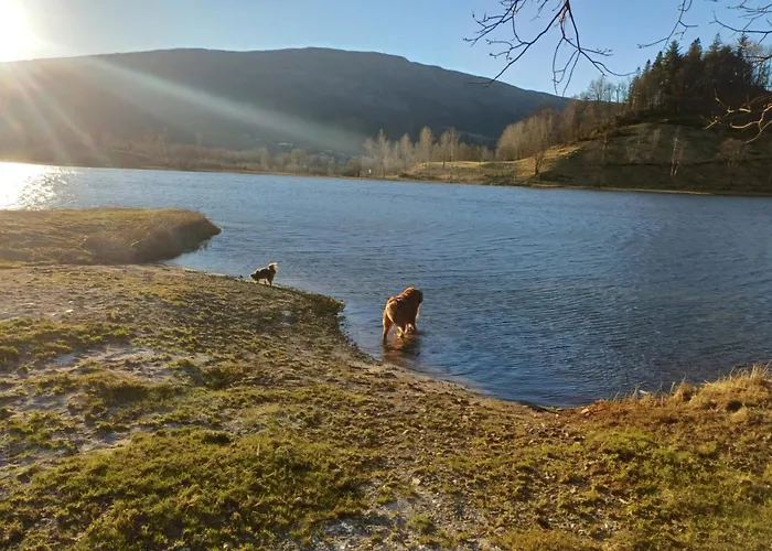 Nesvika Nature Reserve Only 20 Min Away From Διαμέρισμα *