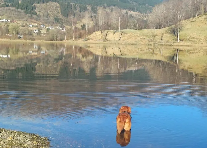 Nesvika Nature Reserve Only 20 Min Away From Apartament
