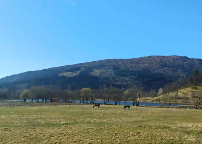 Apartament Nesvika Nature Reserve Only 20 Min Away From