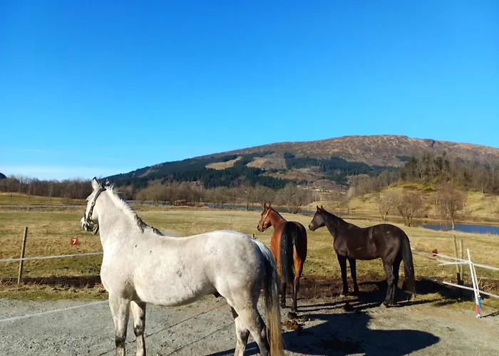 Apartament Nesvika Nature Reserve Only 20 Min Away From *