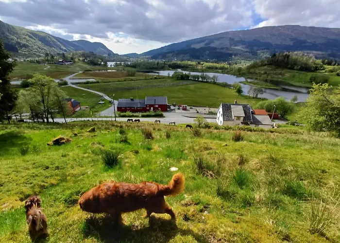 Nesvika Nature Reserve Only 20 Min Away From Bergen