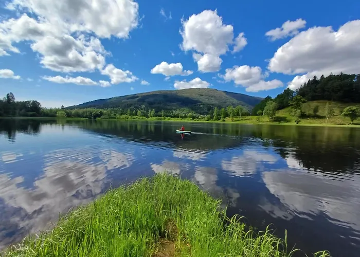 Nesvika Nature Reserve Only 20 Min Away From Apartament Bergen
